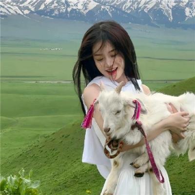 美女与猎犬